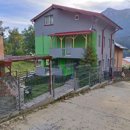 Vila Cri Cri Buşteni Esterno foto