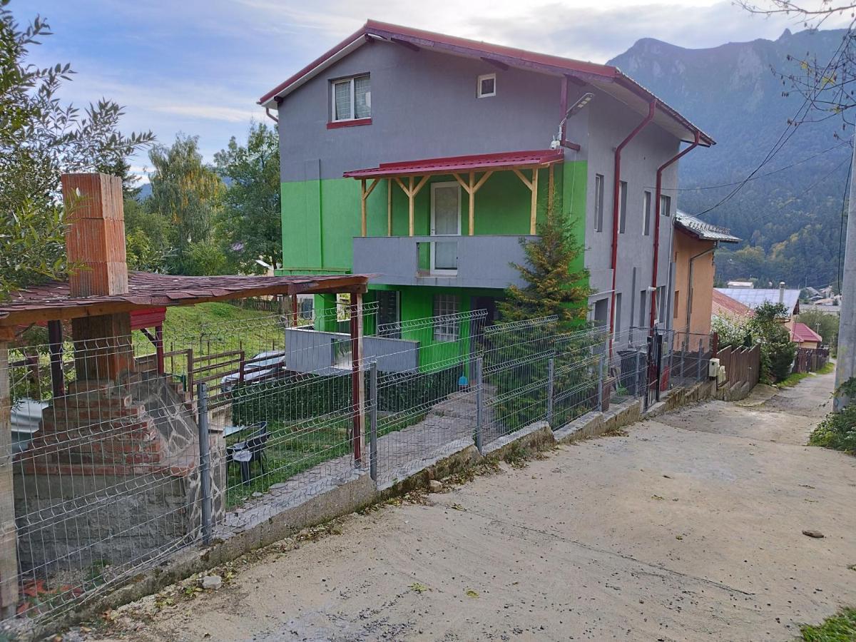 Vila Cri Cri Buşteni Esterno foto
