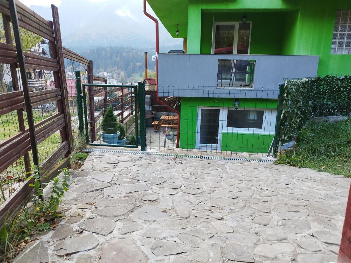 Vila Cri Cri Buşteni Esterno foto