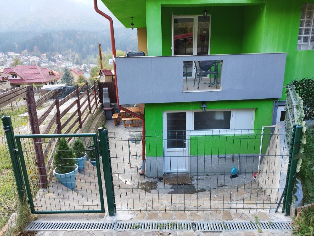Vila Cri Cri Buşteni Esterno foto