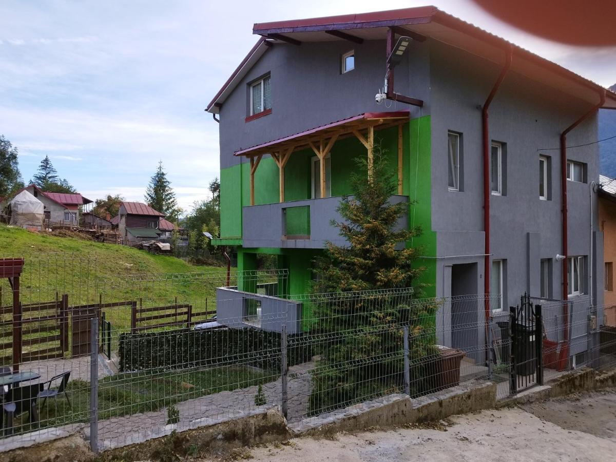Vila Cri Cri Buşteni Esterno foto