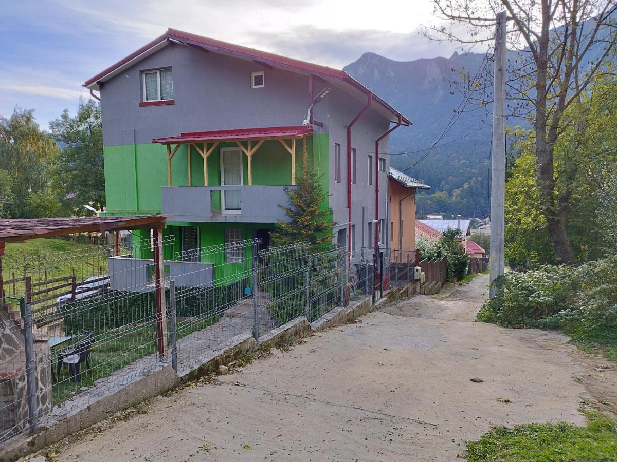 Vila Cri Cri Buşteni Esterno foto