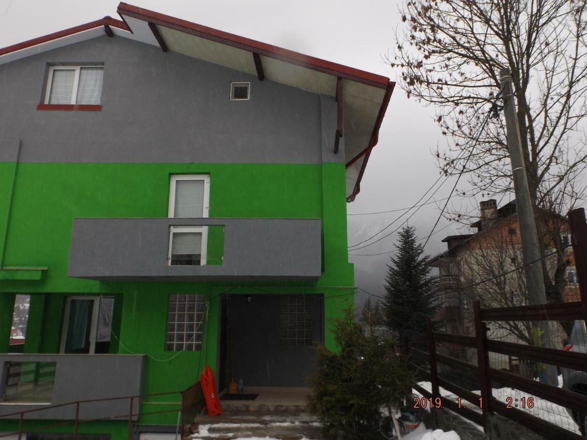 Vila Cri Cri Buşteni Esterno foto